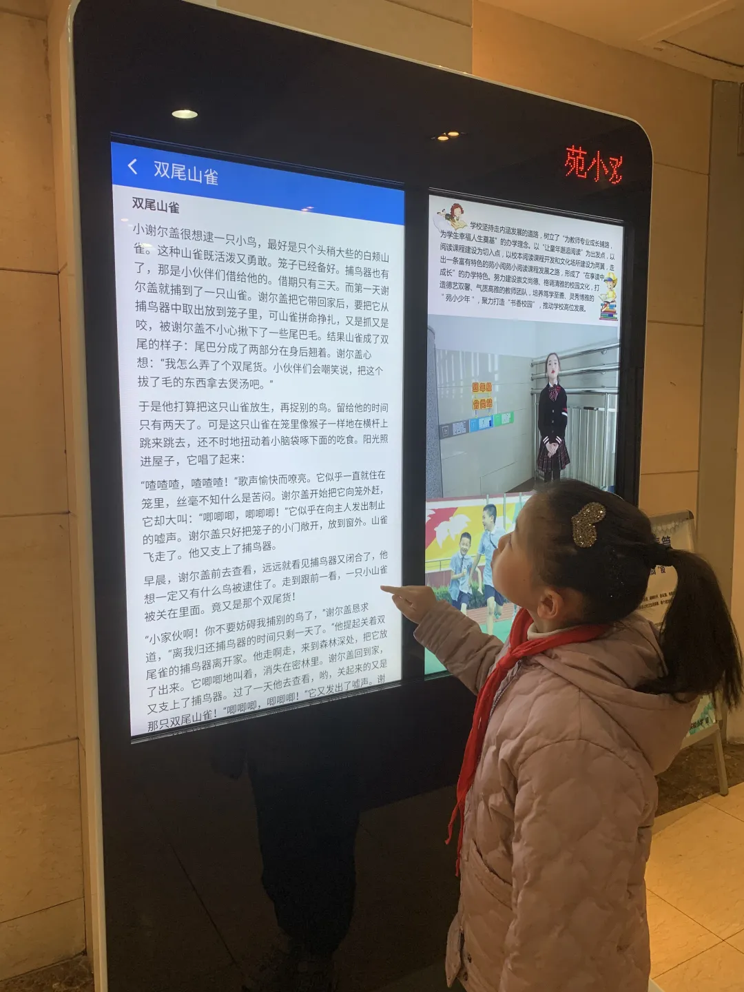 96cf255d340242a1af920616b68c9ba2.Png