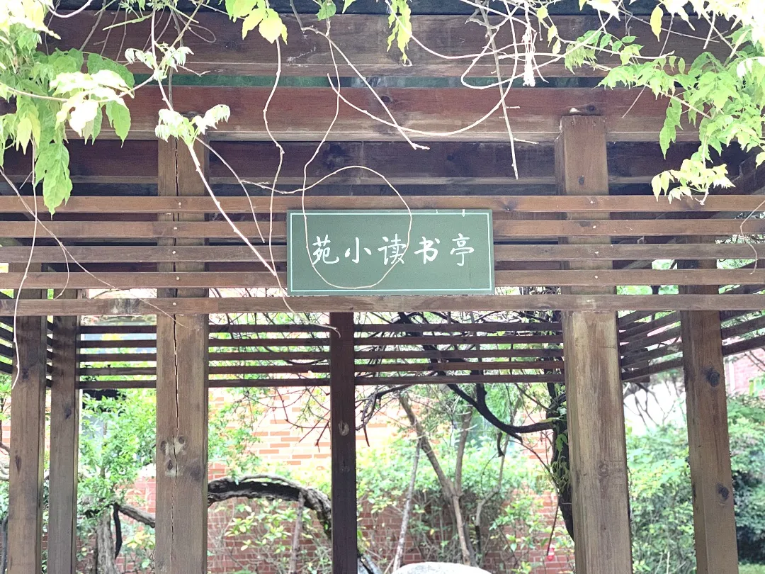 ba43fc15c7ef4ad7896deda244f71639.Png